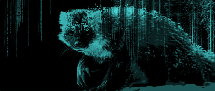 From Daily Driver to Live Boot: A SableLinux ISO Milestone